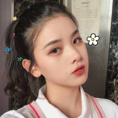 屠龙计划手机版